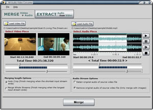 A4 Audio Video Converter